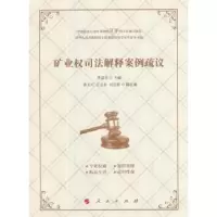 音像矿业权司法解释案例疏议李显冬