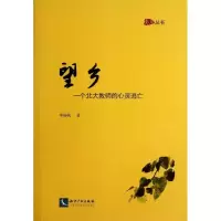 音像望乡李扬帆