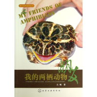 音像我的两栖动物朋友白明