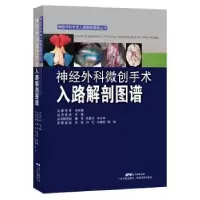 音像神经外科微创手术入路解剖图谱石瑾,刘忆,冯展鹏,陈铭