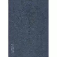 音像断袖文编张杰 编
