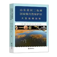 音像山东黄河三角洲自然保护区大型底栖动物