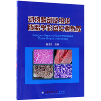 音像动物解剖及组织胚胎学彩色实验教程编者:董玉兰