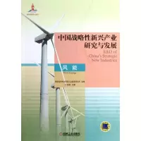 音像中国战略新兴产业研究与发展王仲颖 编