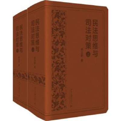 音像民法思维与司法对策杨立新著