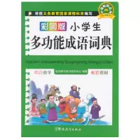 音像彩图版小学生多功能成语词典于明善
