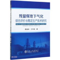 音像残留煤地下气化综合评价与稳定生产技术研究黄温钢,王作棠