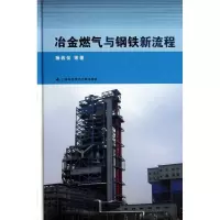 音像冶金燃气与钢铁新流程杨若仪 等