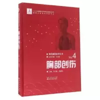 音像胸部创伤石应康,胡盛寿主编