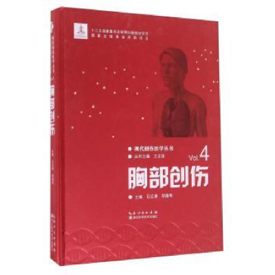 音像胸部创伤石应康,胡盛寿主编