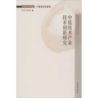 音像中低技术产业技术创新研究白玲,徐曌