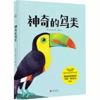 音像的鸟类(英)马特·休厄尔