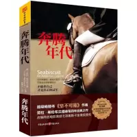音像奔腾年代(美)劳拉.希伦布兰德