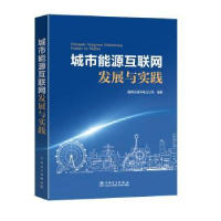 音像城市能源互联网发展与实践国网天津市电力公司组编