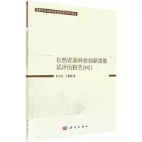 音像自然资源科技创新指数试评估报告2021刘大海//王春娟