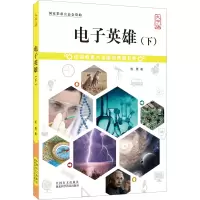 音像英雄(下) 大字版松鹰