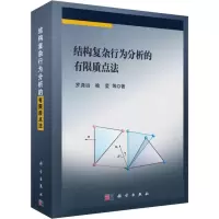 音像结构复杂行为分析的有限质点法罗尧治 等