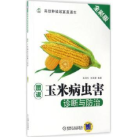 音像图说玉米病虫害诊断与防治(全彩版)商鸿生,王凤葵编著
