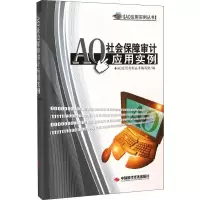 音像AO社会保障审计应用实例《AO应用实例丛书》编写组 编