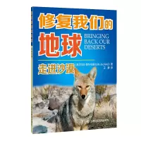 音像走进沙漠/修复我们的地球(美)克拉拉·麦克卡拉德