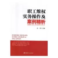 音像职工维权实务操作及案例精析杜伟主编