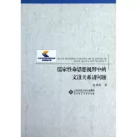音像儒家命思想视野中的文道关系诸问题张炳尉