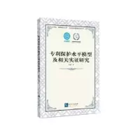 音像专利保护水平模型及相关实研究杜鹃著