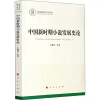 音像中国新时期小说发展史论王海燕 等
