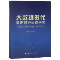 音像大数据时代数据保护法律研究刘红