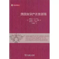 音像美知识权法原理(美)谢尔登.W.哈尔彭 等