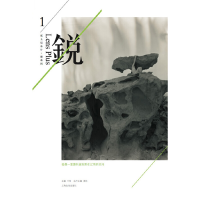 音像我像一面旗帜被包围在辽阔的空间王刚 主编