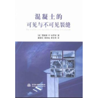 音像混凝土的可见与不可见裂缝(美)理查德·W·伯罗斯著