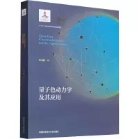 音像量子色动力学及其应用何汉新