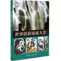 音像世界摄影流派大赏王真 著