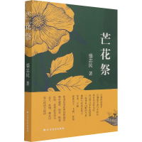 音像芒花祭盛忠民著