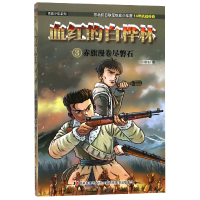 音像血红的白桦林(3赤旗漫卷尽磐石)/铁血少年系列易生