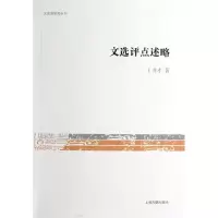 音像文选评点述略/文史哲研究丛刊王书才