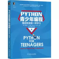 音像Python青少年编程 像英雄一样学习(美)詹姆斯·R.佩恩