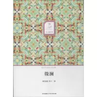 音像微澜(新加坡)林子