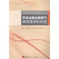 音像声震法强化煤层气高效抽采的机理姜永东[等]著