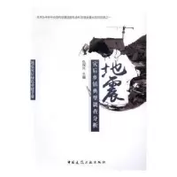 音像地震灾后乡镇典型调查分析仇保兴主编