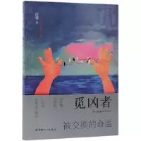 音像觅凶者(被交换的命运)岳勇