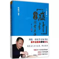 音像腹针临床效案点评林超岱 编著