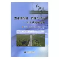 音像洪水的控制、管理与经营:以大庆地区为例闫成璞等著