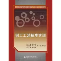 音像钳工工艺技术实训童永华主编