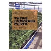 音像宁夏非耕地日光温室蔬菜栽培理论与实践高艳明,李建设编著
