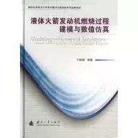 音像液体发动机燃烧过程建模与数值王振国编著