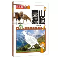 音像小牛顿探秘自然乐玩游戏--高山探险小牛顿团队著
