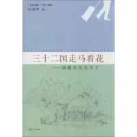 音像三十二国走马看花杨秉辉