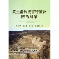 音像黄土滑坡灾害特征及防治对策陈新建 等
